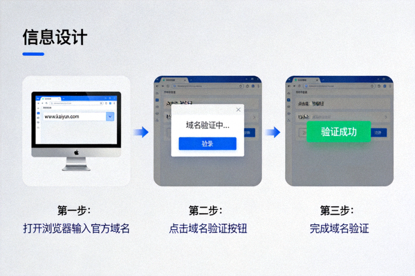 开云体育官方入口域名验证操作示意图